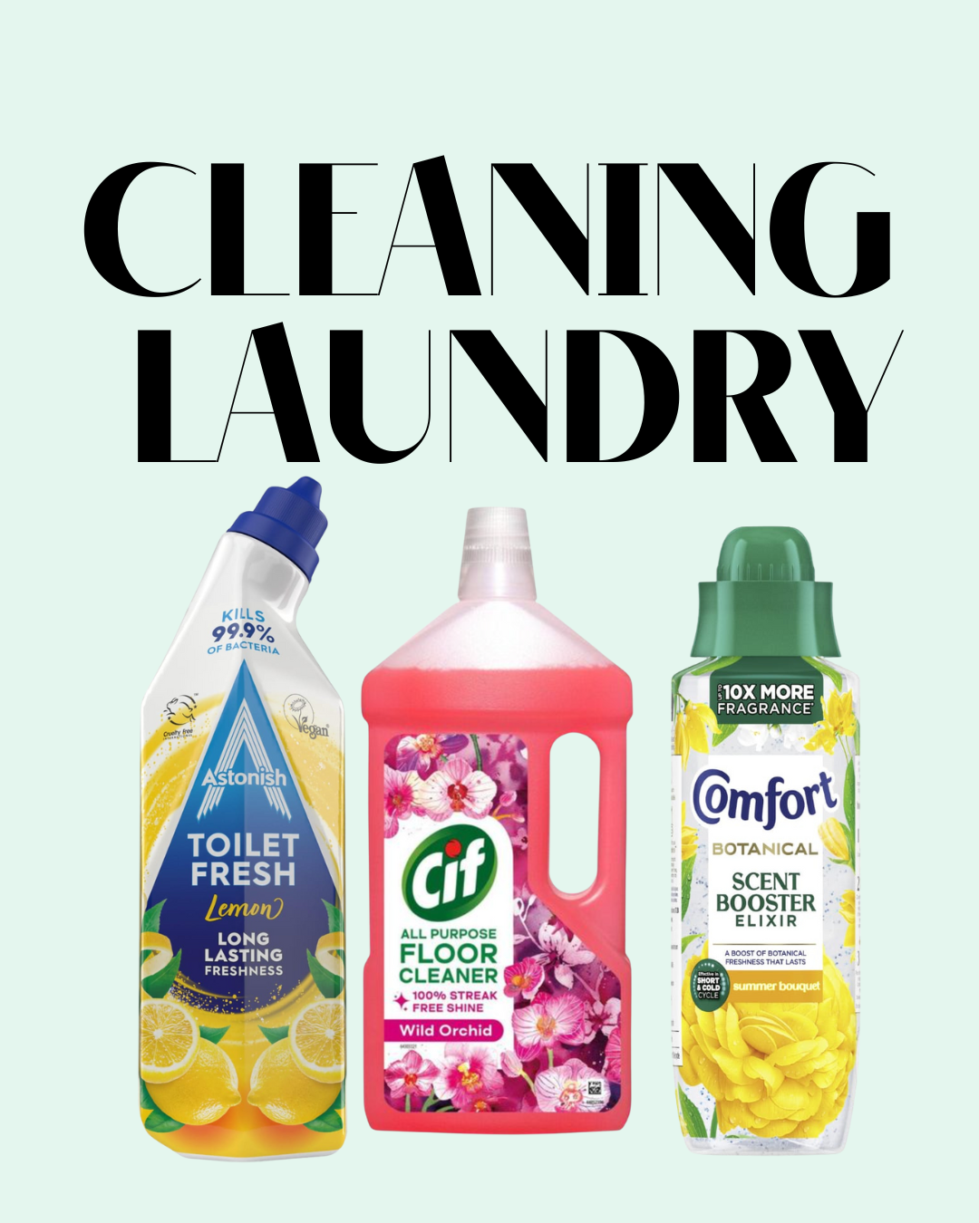 Laundry and Cleaning