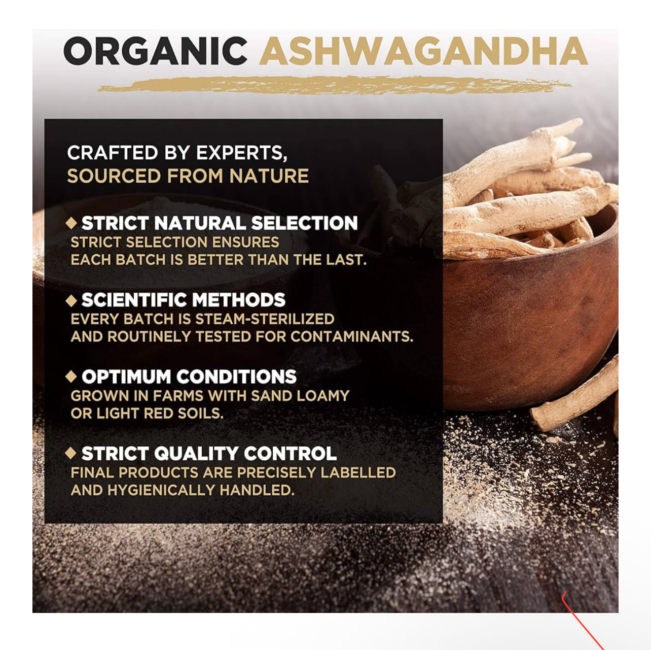 Ashwagandha Capsules | Organic | 1000mg per Serving
