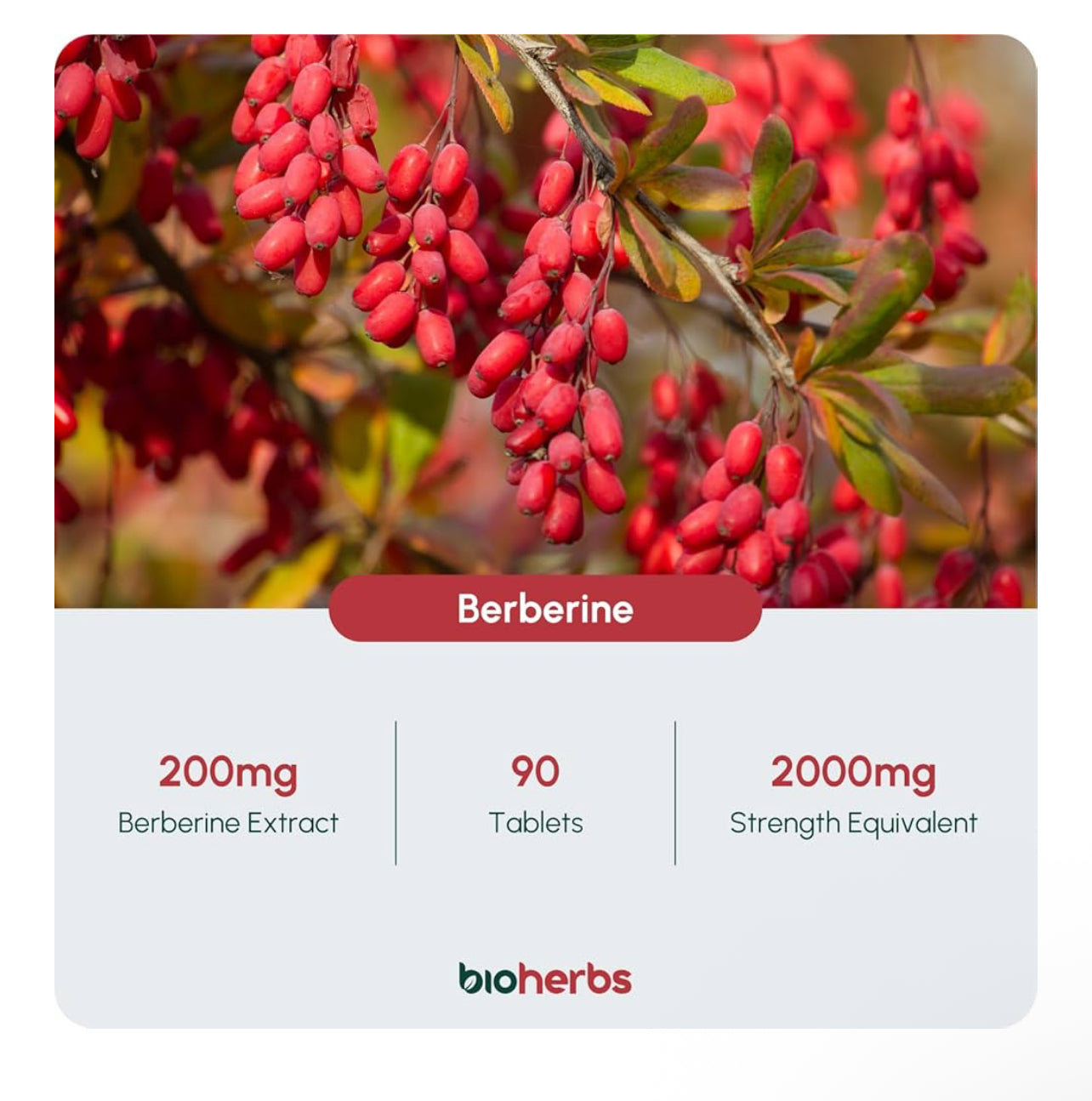 Bioherbs Berberine