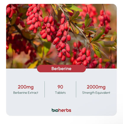 Bioherbs Berberine