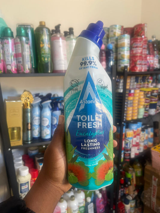 Astonish Eucalyptus Toilet gel